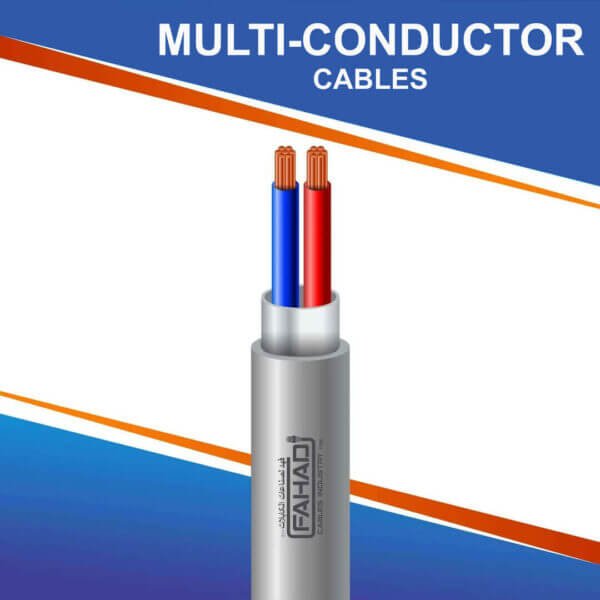 2 core multi-conductor Cable shielded 10 to 24 awg 305m