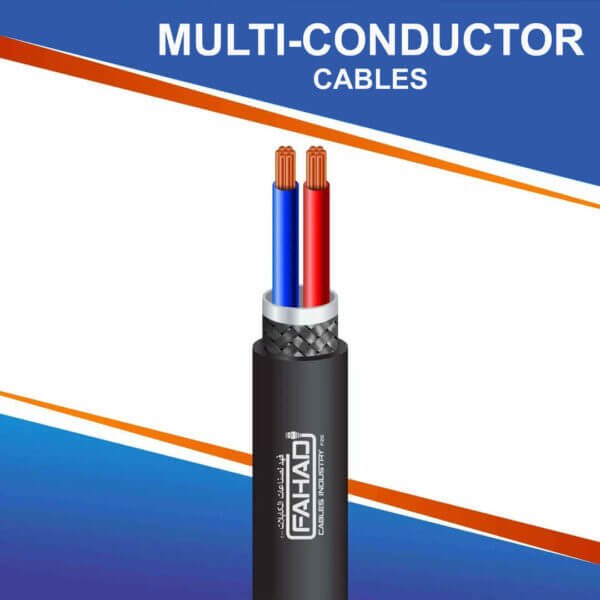 2 core multi-conductor Cable PE braid shielded outdoor 10 to 24 awg 305m